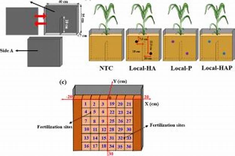磷酸二氢钾和尿素混用的功效