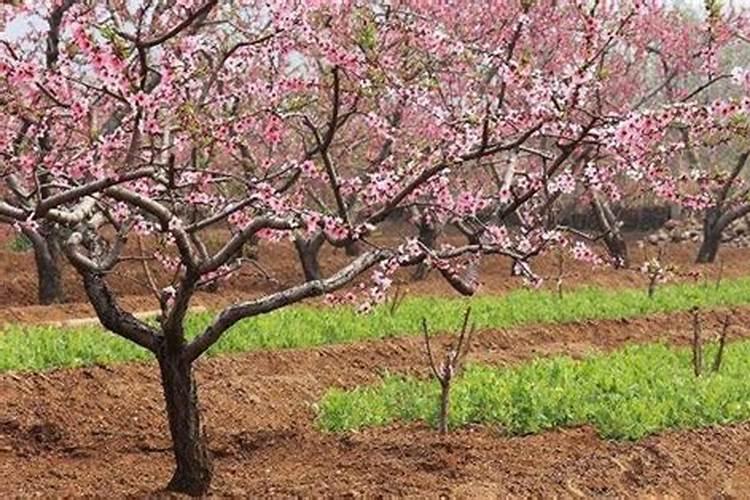 火柴头燃烧时发生的化学方程式