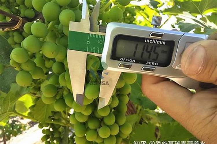 膨大水溶肥几天见效