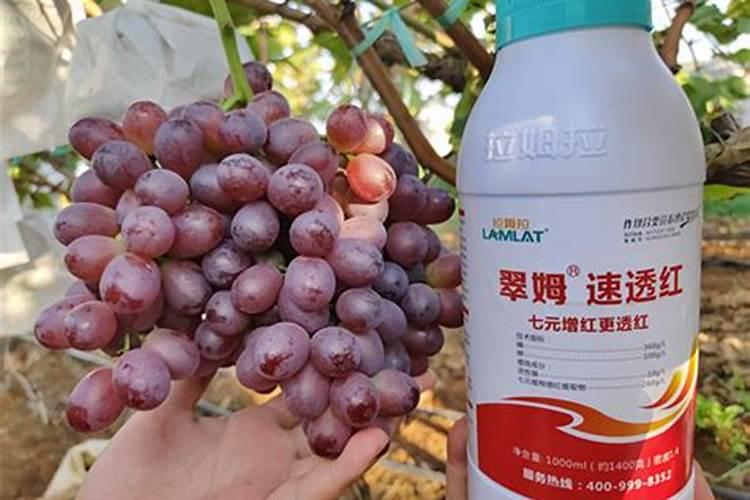 水溶肥施用后多久见效 水溶肥施完三小时后下雨有效吗