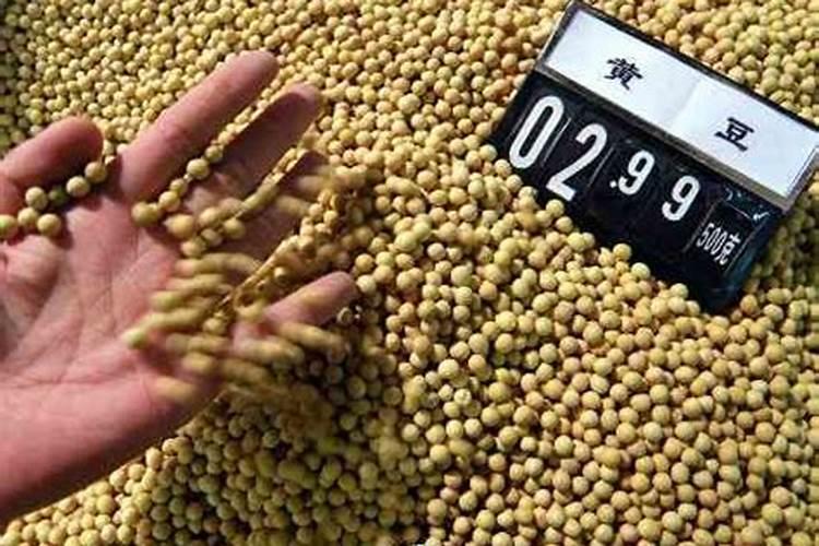 碗豆苗用什么肥料好