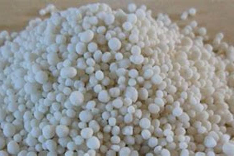 蚯蚓粪和鸡粪哪个好