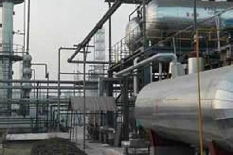 水溶肥十大名牌