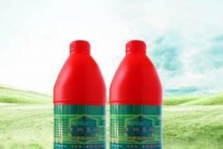 叶面肥哪个厂家最好