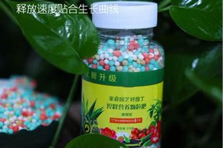 芒果树用什么肥料最好