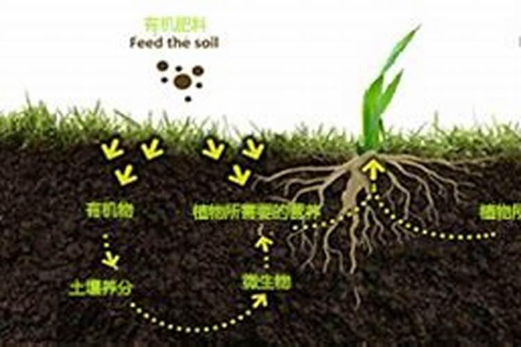 大量元素水溶肥执行标准