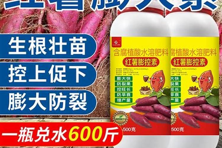种植西瓜用什么肥料最佳