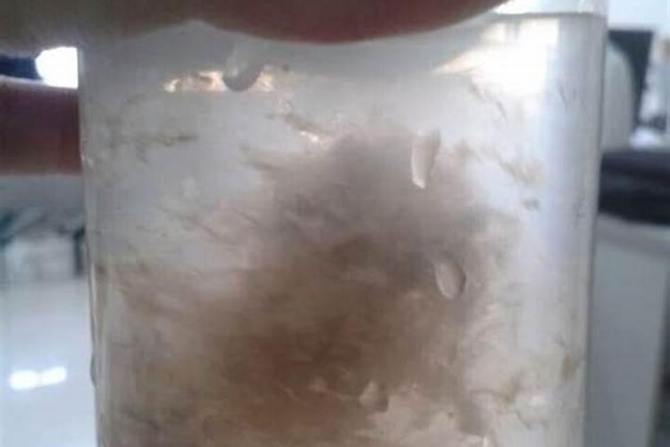 鱼缸上面白色的是什么呢？会影响鱼吗？为什么呢？