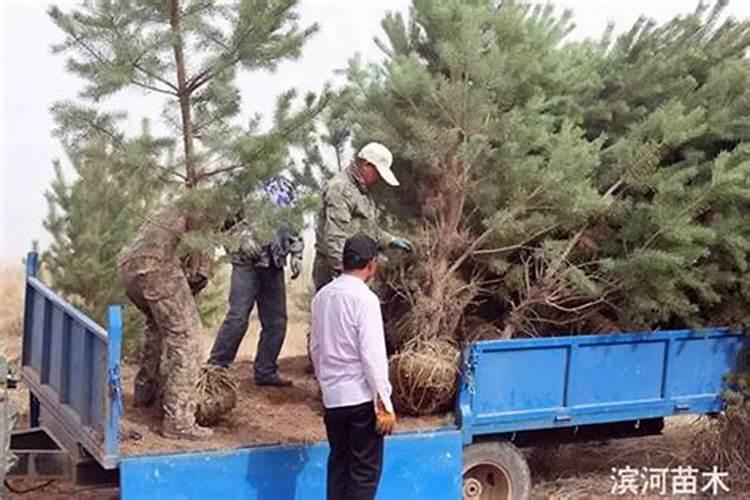 美国世多乐哈维果水溶肥4千克一袋的多少钱？