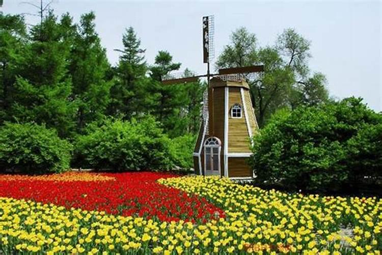 水溶肥什么牌子靠谱？