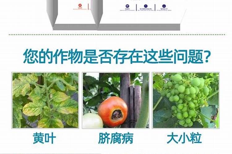 国内的好水溶肥厂家有哪些？