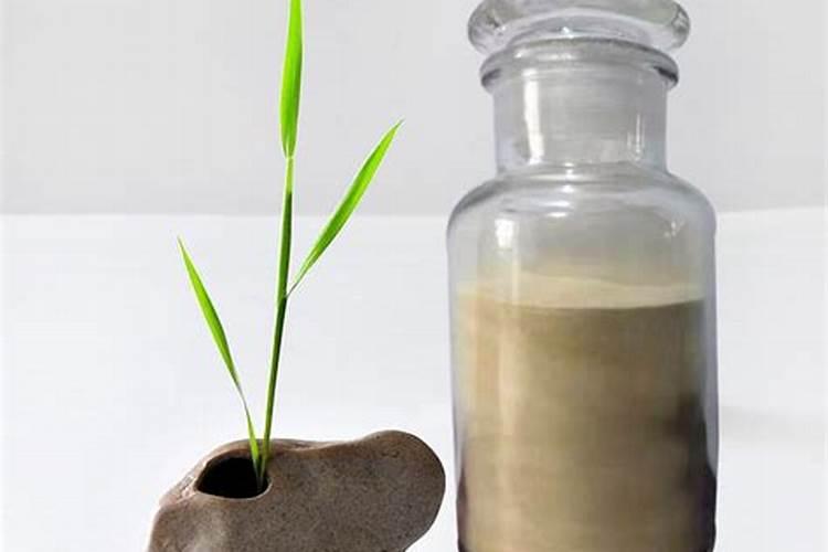 果树冲施肥多久用一次,冲施肥与水溶肥的区别,冲施肥的效果怎么样？百 ...