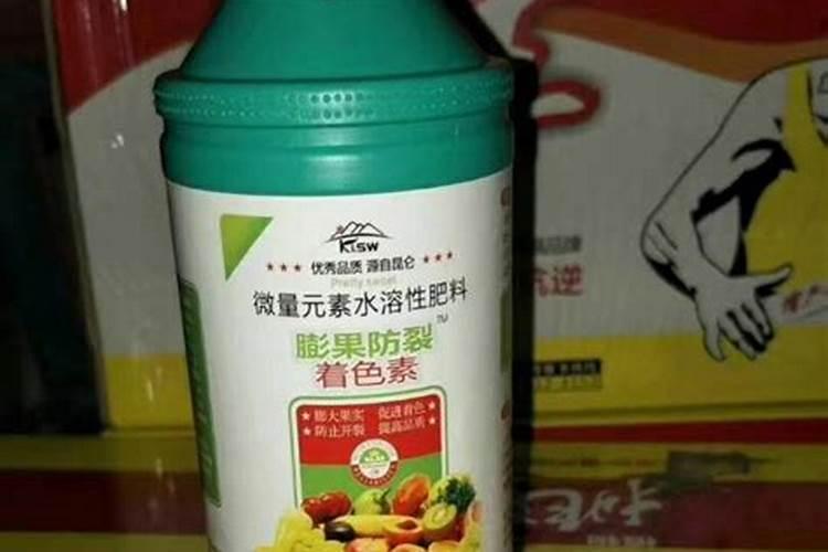 凤梨释迦怎么防止裂果