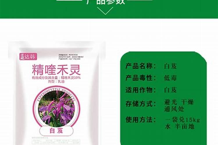 白芨种植时叶子黄得早(大概78月)及叶生铁锈状病症怎么回事？怎么解决...