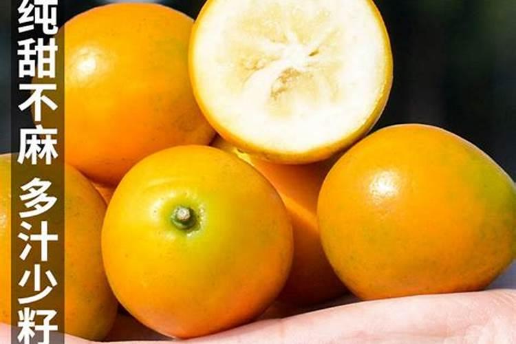 脆皮金桔孕出花苞多大就可以喷鹏肥