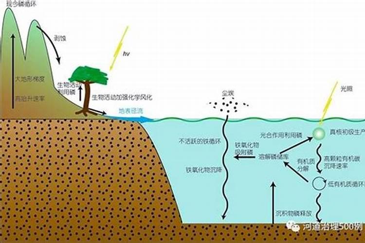 生化系统加磷肥有什么作用