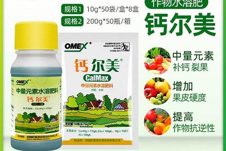 豆角一般什么时候施肥