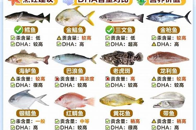 鱼肽有机氮作用