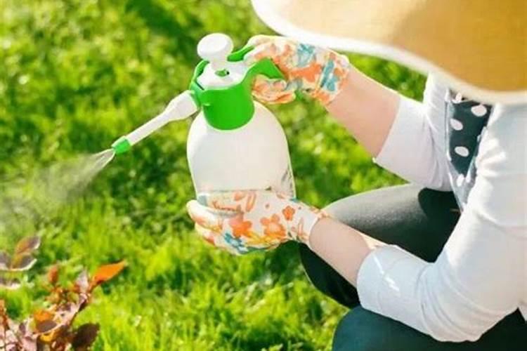 叶面肥这些误区,千万要注意!