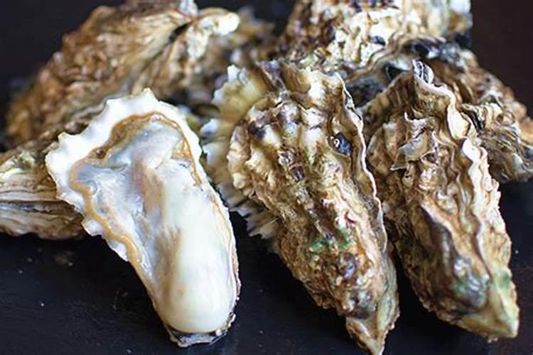 生蚝壳怎么做成花肥