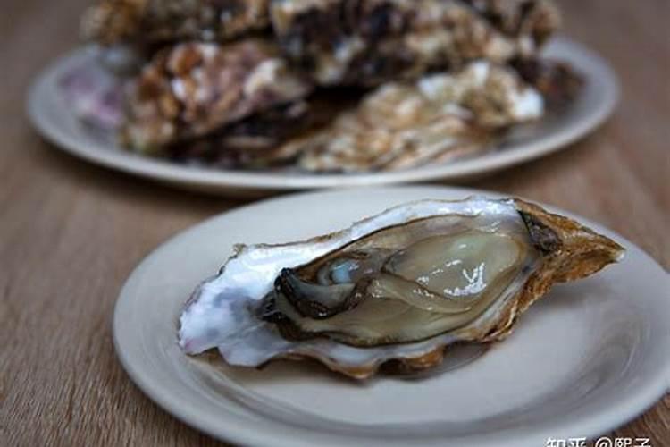 养殖肥蚝可以投鱼粉