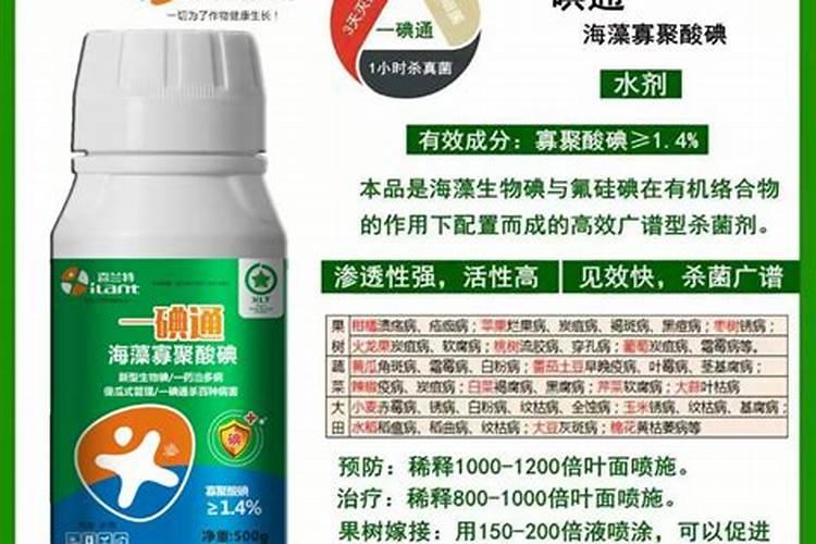 含磷高的肥料有哪些