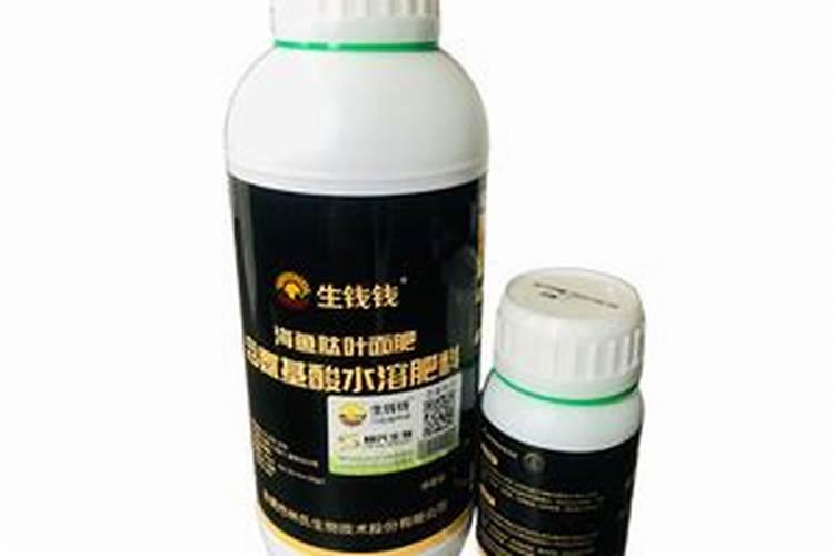 八月份葡萄树上什么肥料