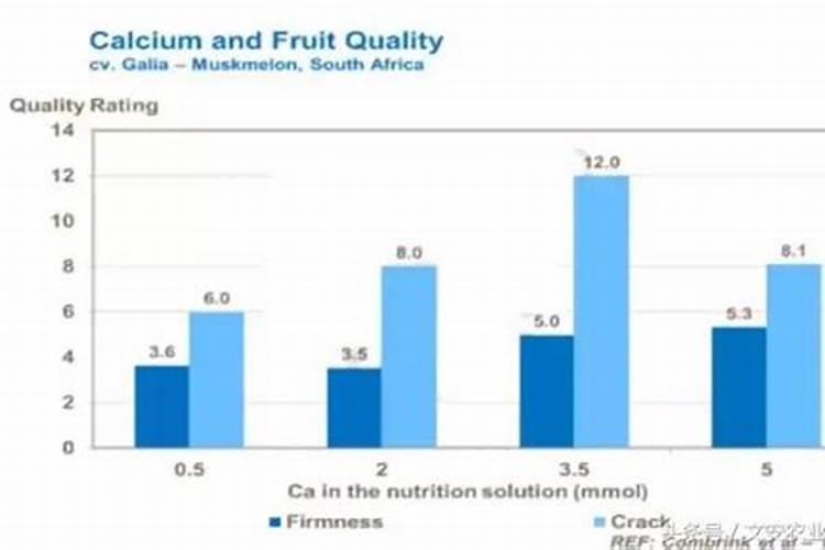 西瓜为何会出现裂瓜且瓜皮腐烂的情况