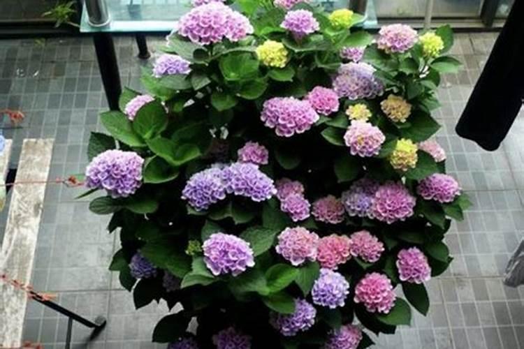 在咱们家里,什么东西算是氮肥呀