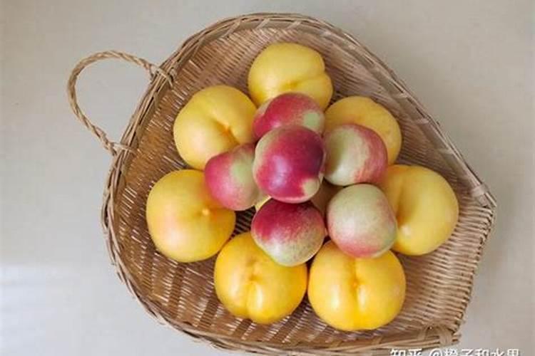 桃树的叶面肥有哪些