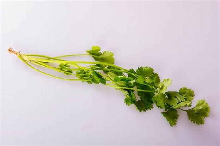 磷肥适合哪些蔬菜