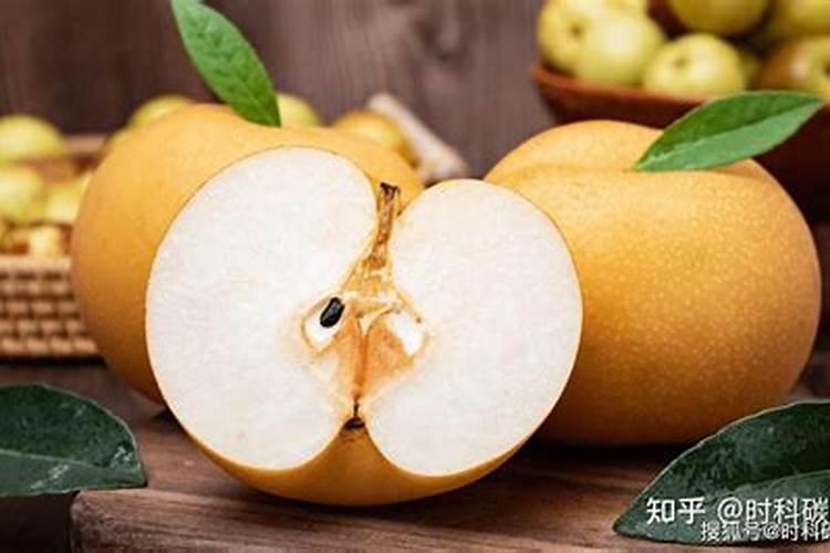 三角梅僵苗不长新芽怎么办