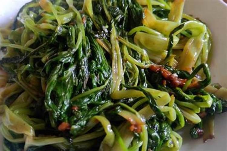 通心菜要什么养分肥料多些？