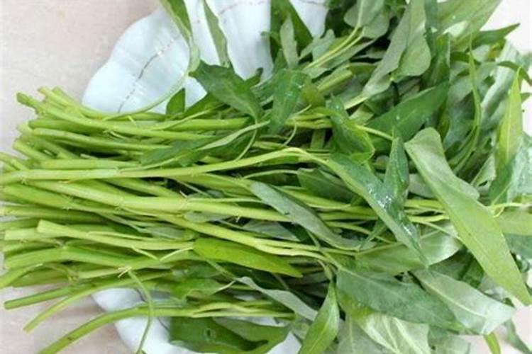 有谁知道种植通菜应特别注意些什么