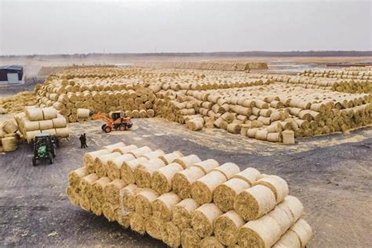 如何自制钾肥 自制钾肥用什么原料