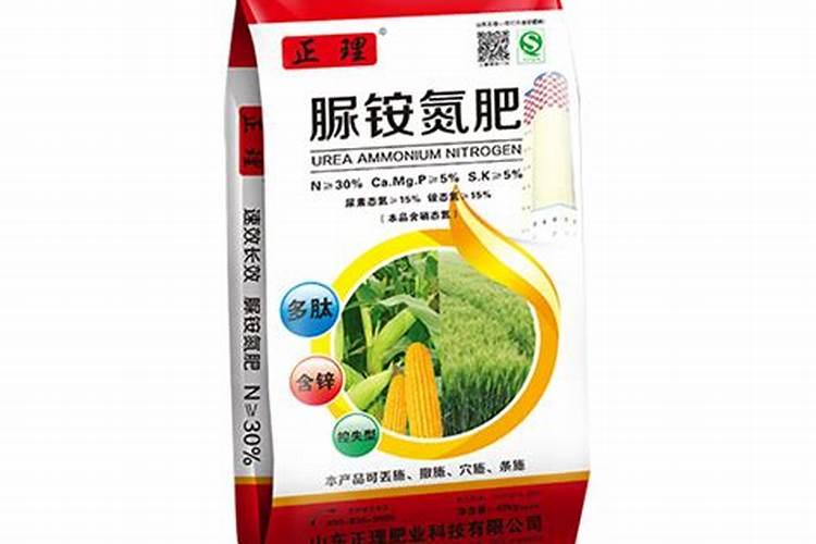 葵花开花时能浇水吗