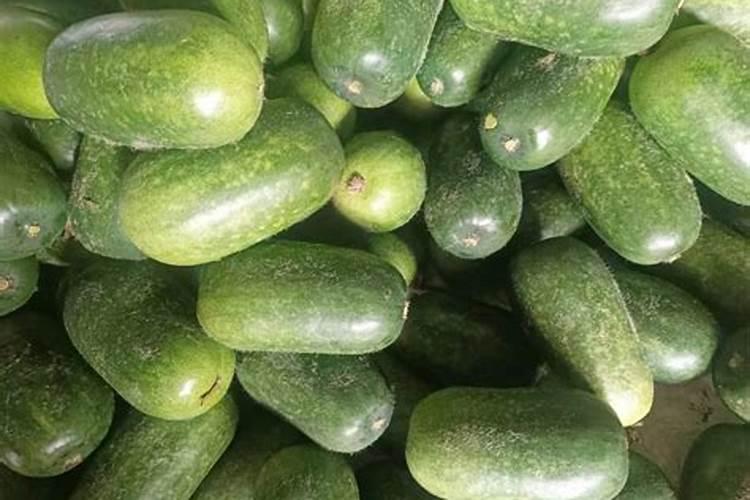 冬天为什么多吃冬瓜