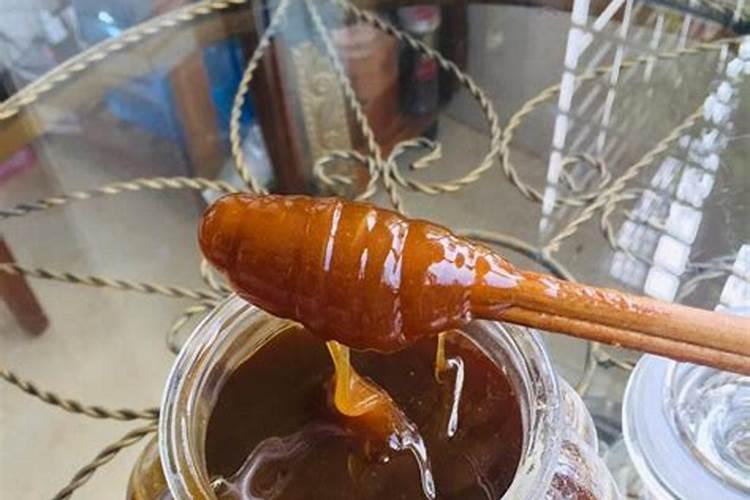 哪个地方产的海藻海带比较受欢迎？