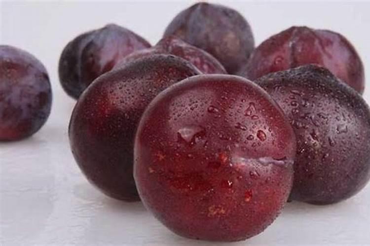 什么办法让树上李子更甜