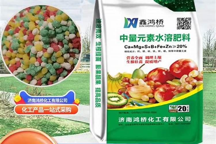 白露时节种的菜多久能收获,种菜预算多少