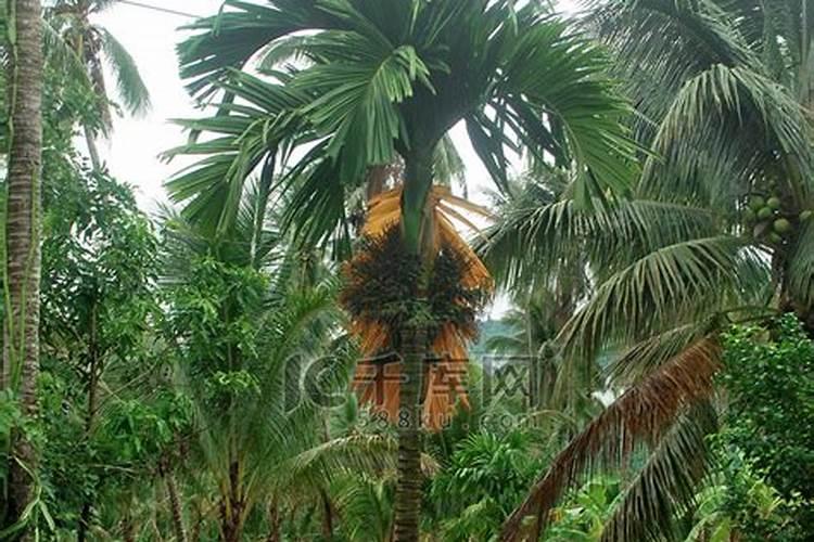 氨氮超标最怕的三种物质是什么？