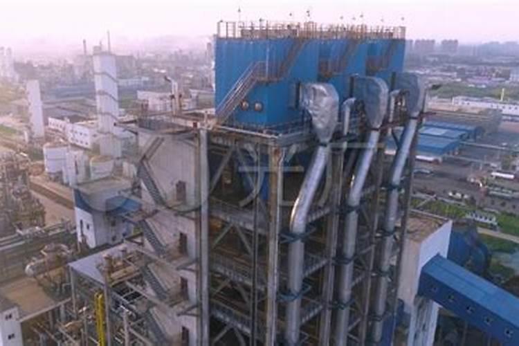 薰衣草适合杭州种植吗花卉百科