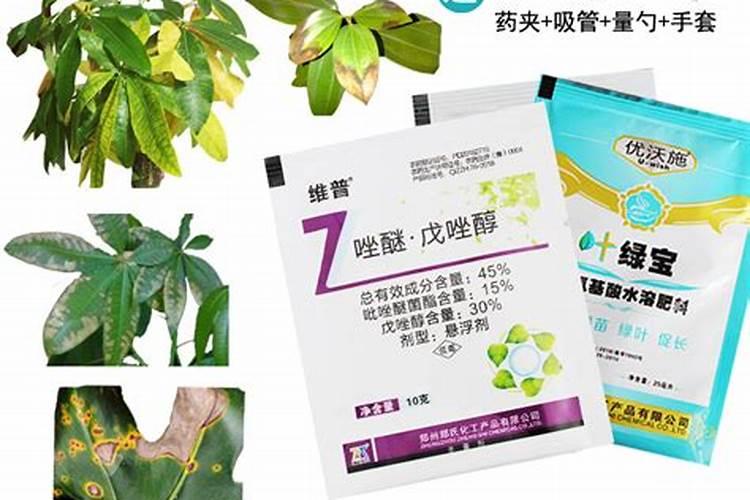 什么药品可以养花;各种养花用什么药片最好