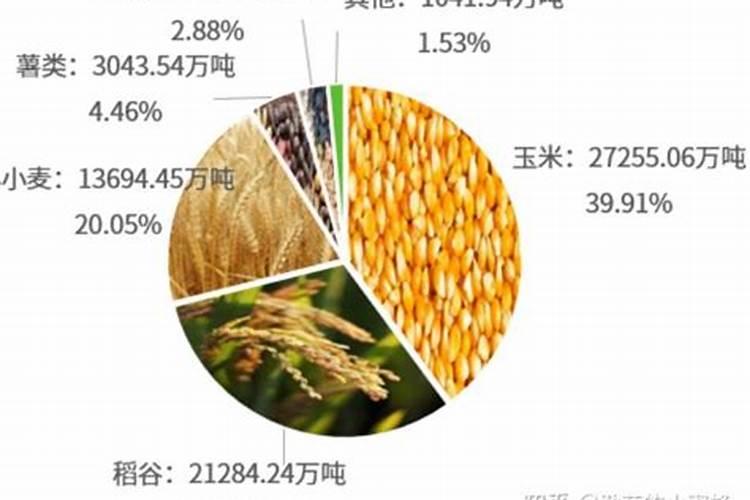 猕猴桃一年施几次肥？猕猴桃水溶肥施肥方案