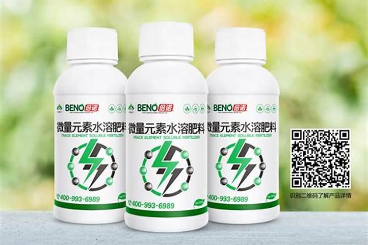 怎样才能让文竹从根部发出新芽