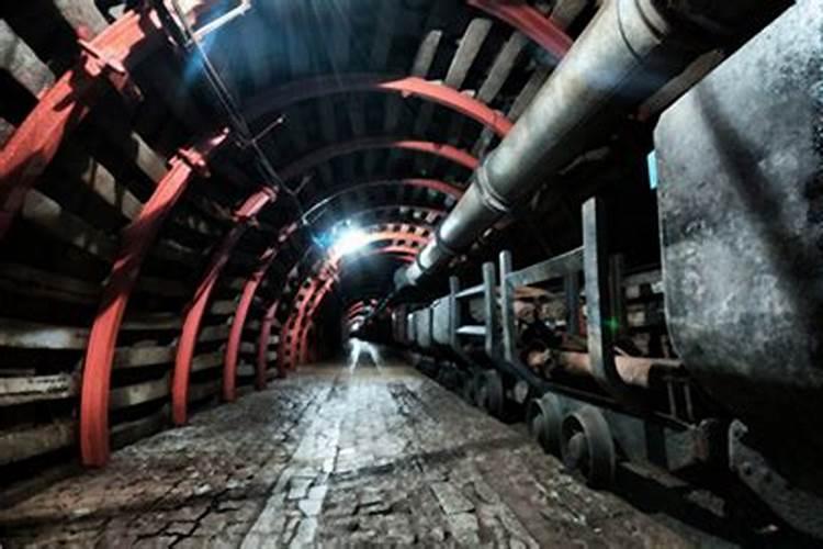 中国从哪些国家进口钾肥