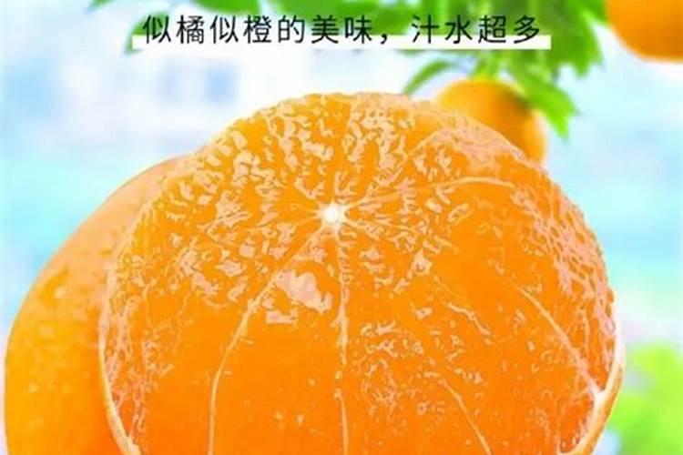 爱媛38号适合在湖南种植吗？