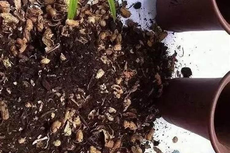 复合肥能直接撒吗