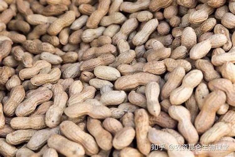 花生喜磷还是喜钾