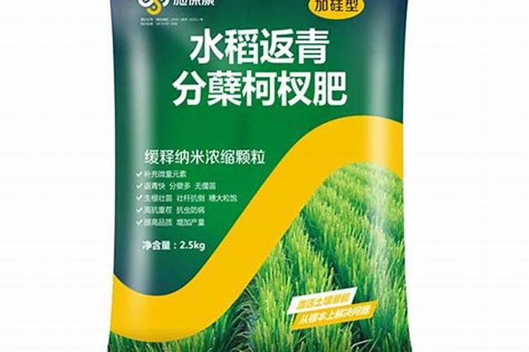 我国施用的硅肥有哪些品种？施用过多有哪些危害？